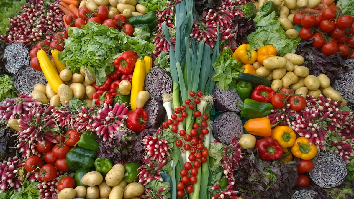 Protein sources, carbohydrates, and healthy fats displayed
